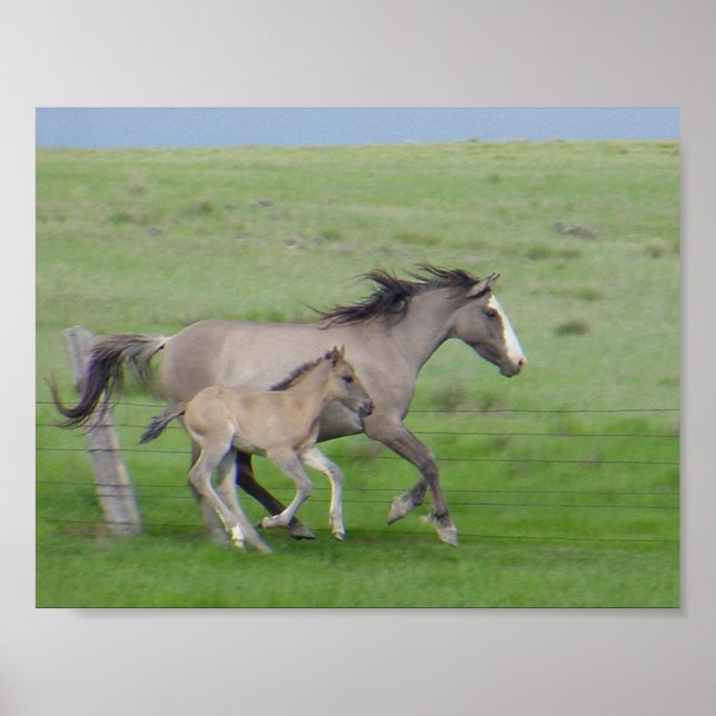 Pôster FamíliaExecutar (Frente)