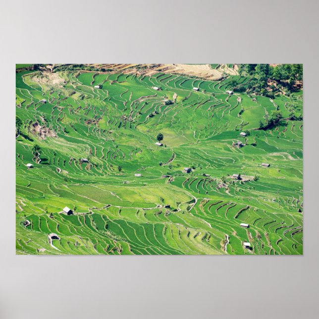 Poster Famous yuanyang Rice Terraces - Yunnan, China (Frente)