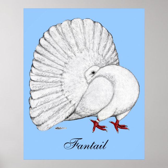 Pôster Fantail: Branco (Frente)