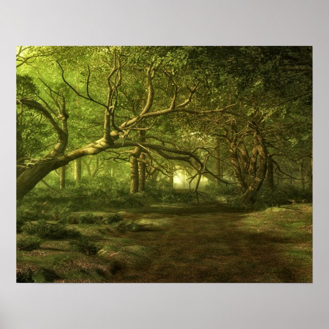 Poster Fantasia da floresta (Frente)