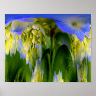 Poster Fantasia Floral de Flor de Hortênsia Abstrata