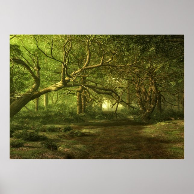 Pôster Fantasia florestal (Frente)