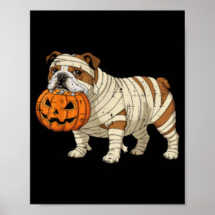 Poster Fantasias de Múmia para Cachorro Bulldog Inglês pa
