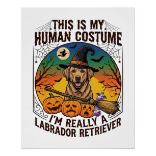 Pôster Fantasias Humano Labrador Retriever Halloween Brux