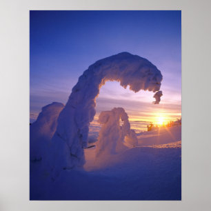 Pôster Fantasmas de neve na faixa branca de Montana