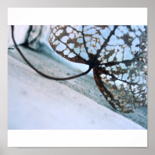 Poster fantasmas do primavera