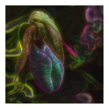 Fantasy Blue Abstrato Lady Slipper Flower