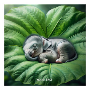 Pôster Fantasy Cute Baby Elephant Leaf