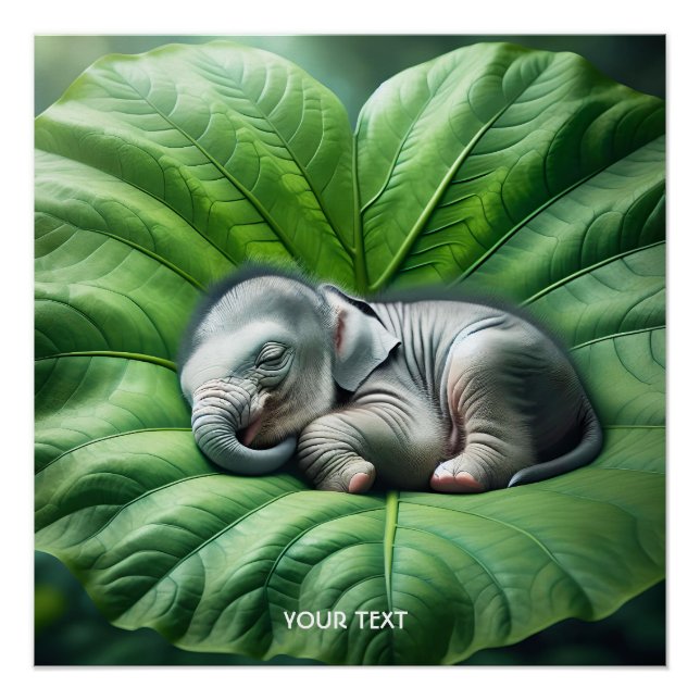 Pôster Fantasy Cute Baby Elephant Leaf (Frente)