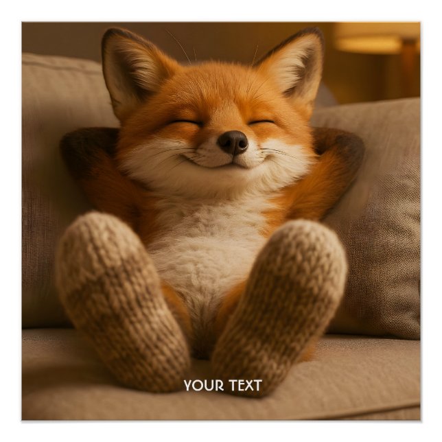 Pôster Fantasy Cute Fox And Socks (Frente)