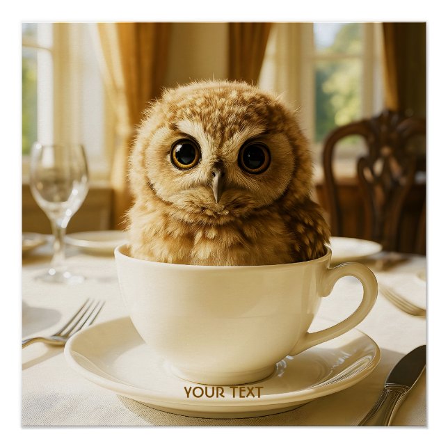 Pôster Fantasy Cute Tea Owl Baby (Frente)