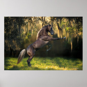 Poster Fantasy Horses: Warrior Prince