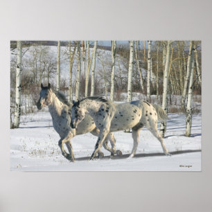 Poster Fantasy Horses: Wonderland de inverno