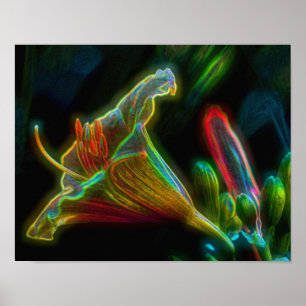 Pôster Fantasy Lily Abstrato Flower Art