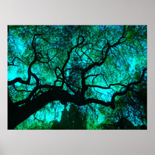 Poster Fantasy Turquoise Tree Silhouette