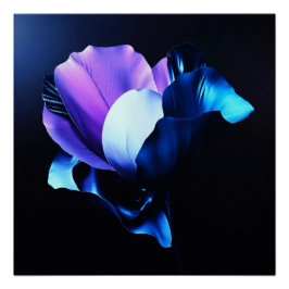 Pôster Farbig Strahlende Blüten in Dunkelheit