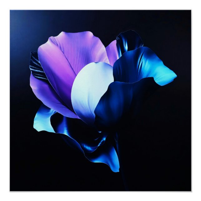 Pôster Farbig Strahlende Blüten in Dunkelheit (Frente)