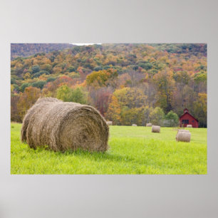 Poster Fardos de feno e folhagem de outono na fazenda,