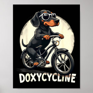Poster Farmácia de Doxiciclina cachorro dachshund engraça
