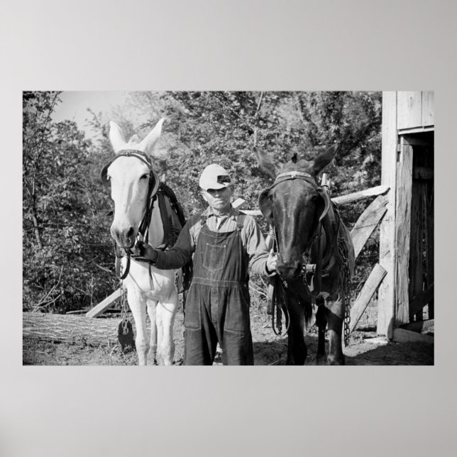 Poster Farmer with Plow Horses, 1930s (Frente)