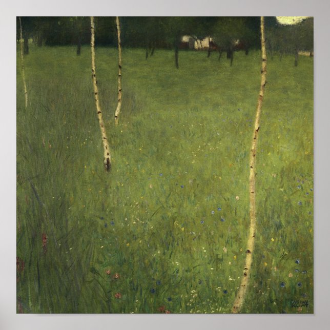 Poster Farmhouse com Birch Trees, 1900 (Frente)