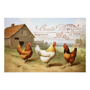 Pôster Farmhouse French Chicken Barn Hen Bird Postmark