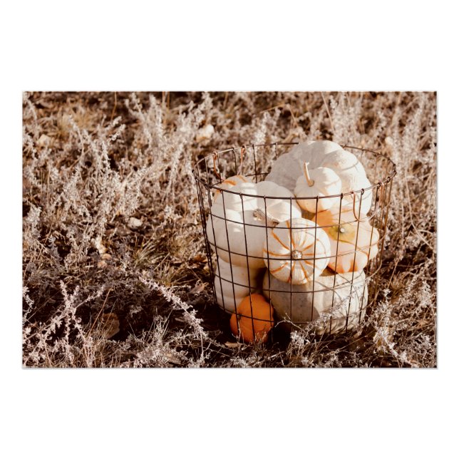 Pôster Farmhouse Pumpkin Harvest Basket (Frente)
