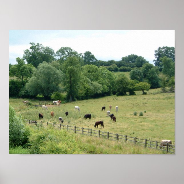 Poster Farmland Inglês (Frente)