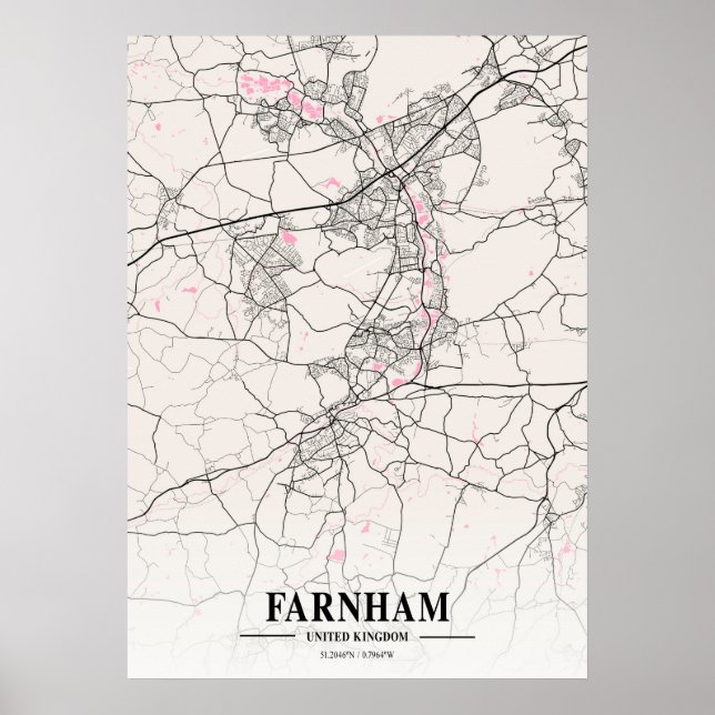 Poster Farnham - United Kingdom Neapolitan City Map (Frente)