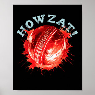 Poster Fãs de críquete S Howzat! Críquete Ll S Efeito de 