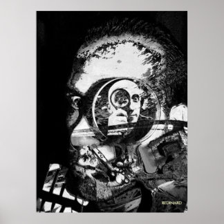 Pôster fase terminal da esquizofrenia