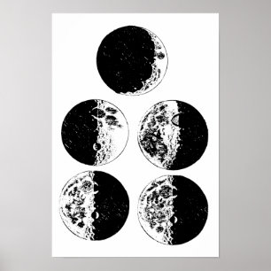 Poster Fases da Lua Ilustrações da Astronomia Espacial 