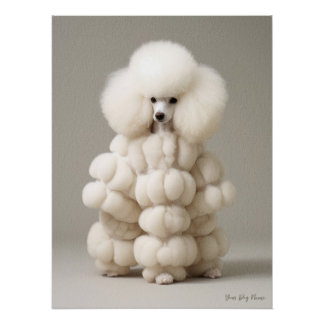 Pôster Fashion Show, Poodle Dog 02 - Jonathan Bonheur