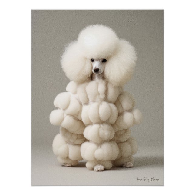 Pôster Fashion Show, Poodle Dog 02 - Jonathan Bonheur (Frente)