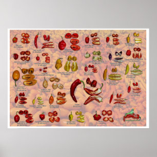 Pôster Fatalii's Split Chile Peppers!