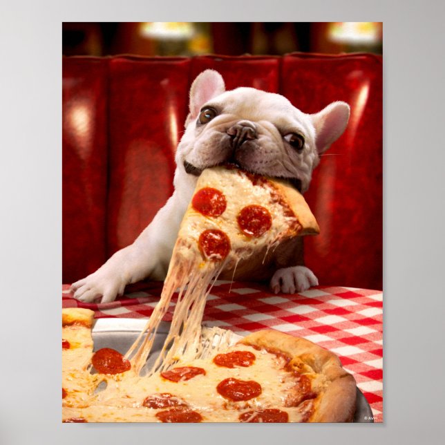 Poster Fatia De Pizza De Comida De Cão (Frente)