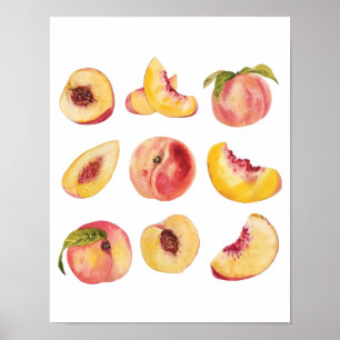 Poster Fatias de Pêssego Frescas e Coloridas em Aquarela