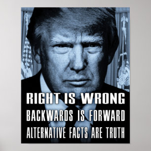 Poster Fatos Alternativos São Verdade - Anti Presidente T
