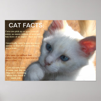 Poster Fatos de gato!