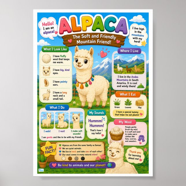 Poster Fatos Divertidos Sobre Alpaca Para Crianças (Frente)