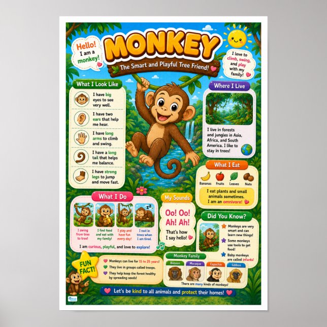 Poster Fatos Divertidos Sobre Macacos Para Crianças (Frente)