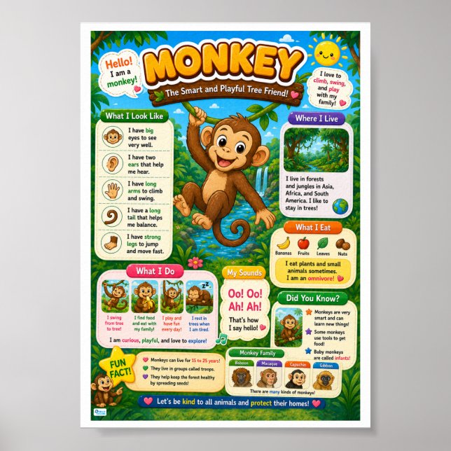 Poster Fatos Divertidos Sobre Macacos Para Crianças (Frente)