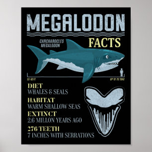 Poster Fatos sobre Megalodon Dente Fóssil de Tubarão Pré-
