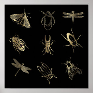 Poster faux gold foil bugs on black