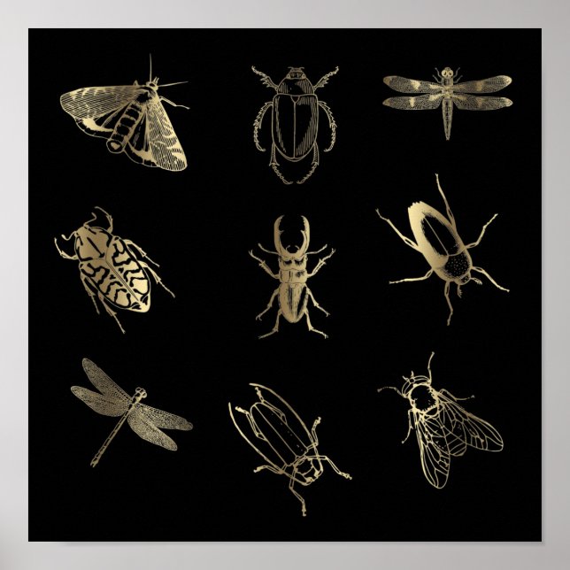 Poster faux gold foil bugs on black (Frente)