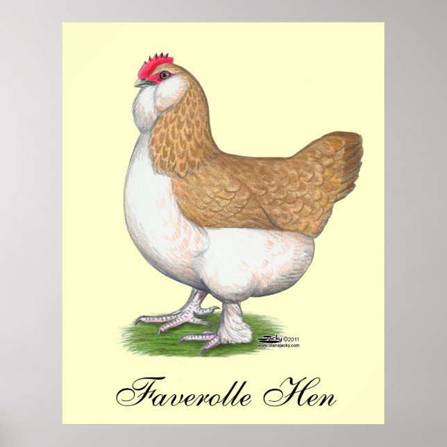 Poster Faverolle Hen (Frente)