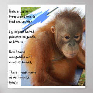 Pôster Favoritos animais doces