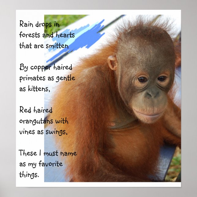 Pôster Favoritos de animais doces (Frente)