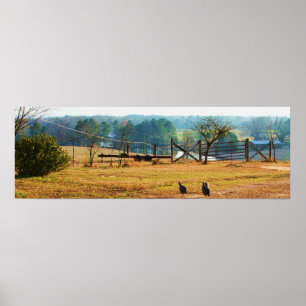 Poster Fazenda