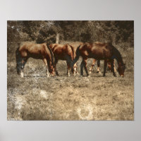 Fazenda de cavalos Vintage País Russo Ocidental